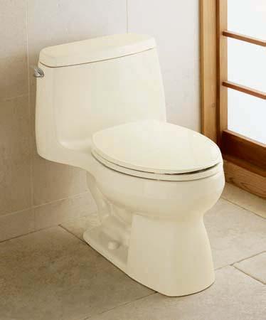 Includes French Curve Seat K-4653. Compact elongated bowl.