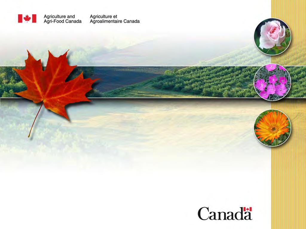 Canadian Ornamental Horticulture Research and Innovation Cluster Projects (no.