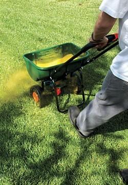 Dynaweed will not work until wetted, so wet it down using a soft spray of water after applying.
