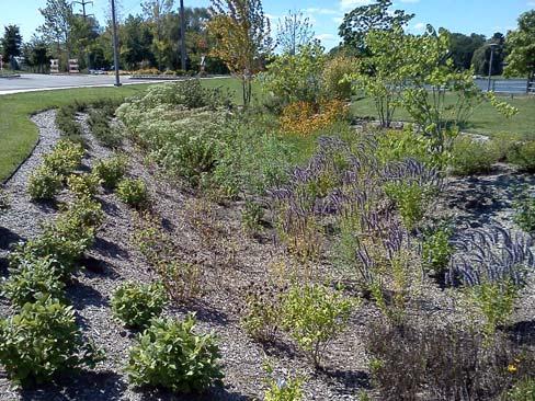 ILLINOIS URBAN MANUAL PRACTICE STANDARD BIORETENTION FACILITY (feet) CODE 800 Source: Jessica Cocroft, Winnebago Soil and Water Conservation District DEFINITION Facility that utilizes a soil media,