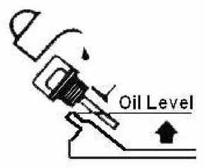Adding Lubricating Oil Always use clean fresh oil as specified on page 9. Incorrect or old oil can cause the pressure washer to run rough and damage the motor; this will not be covered by warranty. 1.
