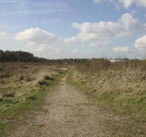 Chasewater Country Park is perfect for a gentle stroll, bird watching, running, cycling