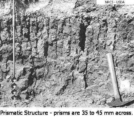 Structure is the shape of a unit of soil as it is naturally bound together. These units, called peds, are like pieces of a puzzle that fit together.