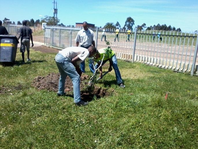 fighters planting trees at the base Working on Fire (WoF) trains