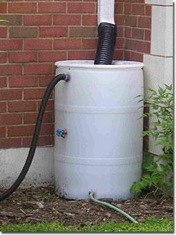 For more information on rain barrels, contact the Baker County Extension Office or join us for a Make & Take Rain Barrel Workshop.