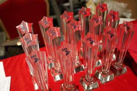 This Diamond Award which is divided into 3 major awards, influential brand award, innovative product award and visitors' selection award, with 12 sub-awards.