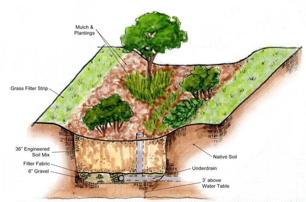 Structural BMPs are constructed features, which can include rain gardens, bio-retention areas, and retention areas, where as non-structural BMPs are programmatic