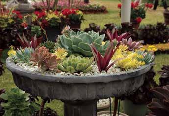 Tips for water-hungry containers To reduce water use and keep your plants happy and healthy throughout the season, try the following: Line porous containers including terra cotta, cement pots and