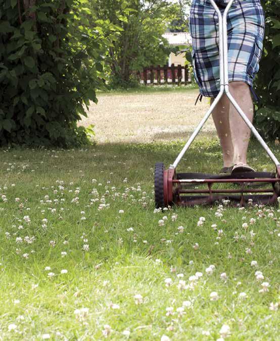 Water Efficiency AN AT-HOME GUIDE Lawn Maintenance Long grass is better for the health of your lawn Cutting grass too short makes your lawn vulnerable to disease, pests, weeds and drought.