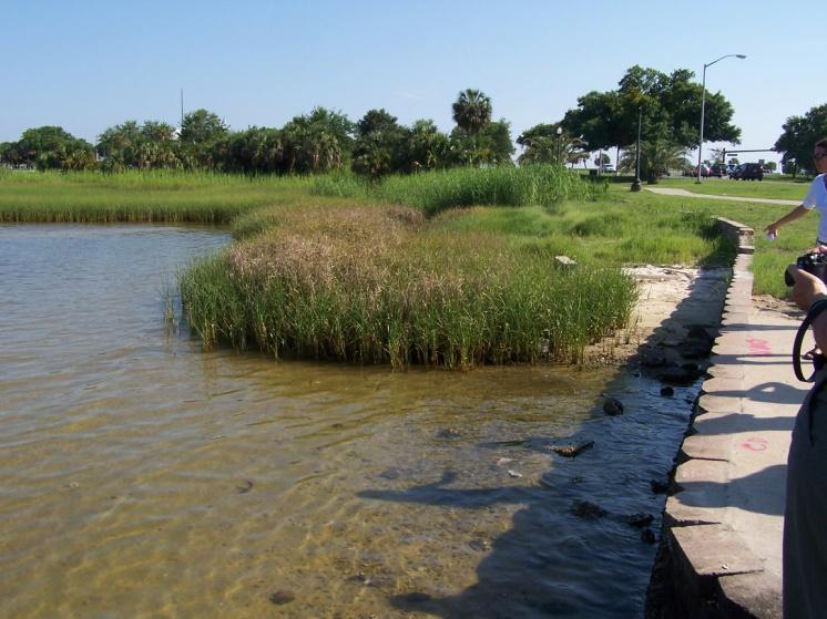 Green Infrastructure and Community Resilience Green and blue infrastructure programs can: Reduce flooding Improve water quality Enable valuable natural processes, such as sequestering carbon
