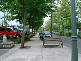 PEDESTRIAN STREETS: SITE DESIGN STREETSCAPE ELEMENTS SITES ON PEDESTRIAN STREETS To create a more pedestrian friendly street through the use of site furnishings along