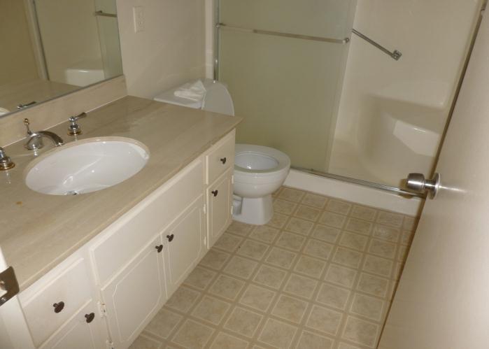 Use a bone colored grout Seal all grout Install 1 white finish wood frame mirror Install new exhaust fan Install accessories - Pegasus Dorset in Polished Chrome finish PLUMBING: Check all existing