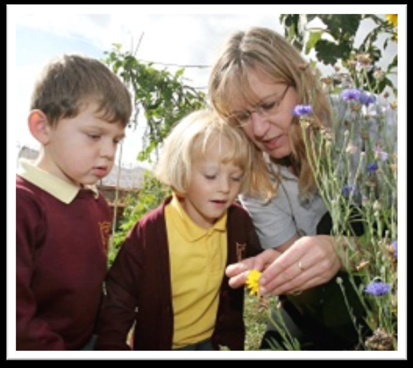 School Gardening Awards Four themes School Culture and