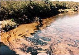 nonpoint source pollution Impacts