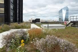 Green Roofs and Porous Pavement Recognized as effective stormwater