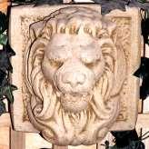 Lion Heads 
