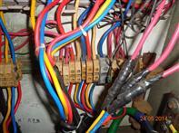 Photograph: No dedicated neutral. Provide dedicated neutral for each circuit. Alliance Standards Part 10 Section 10.3 Electrical Wiring and Cabling Electrical wiring and conduit is properly supported.