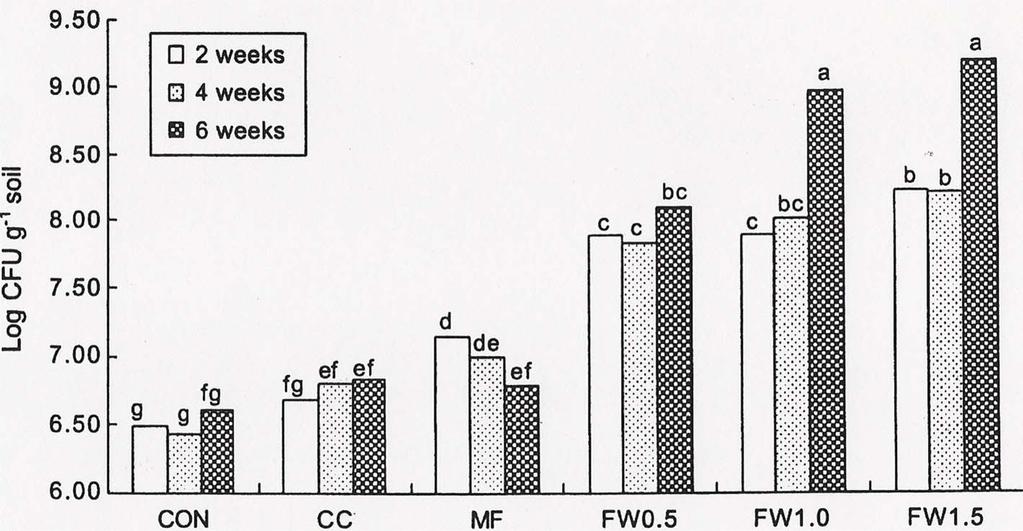 Fig. 2. Population of bacteria in rhizospheres of lettuce in pots as affected by CON, CC, MF, FW0.5,FW1.