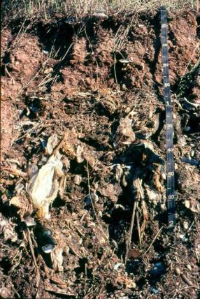 Soils formed in HTM overlying