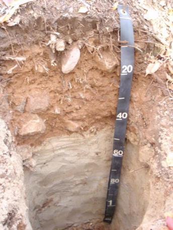 Soils formed in Dredge