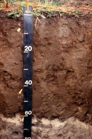 Soils formed in Human Constructed or
