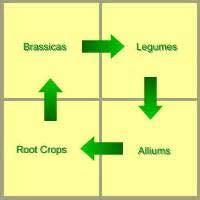 Crop Rotation Will help to prevent buildup of soil pests and larvae so less chemicals