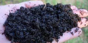 Organic Matter This is the most important component for home gardens and