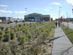 why aren t green infrastructure projects more There is still a widespread?