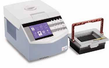 BASIC PRINCIPLE The equipment performs a certain quantity of thermal cycles depending on the method used and repeat them many times for a while, and at the end, the initial DNA fragment Fiber have