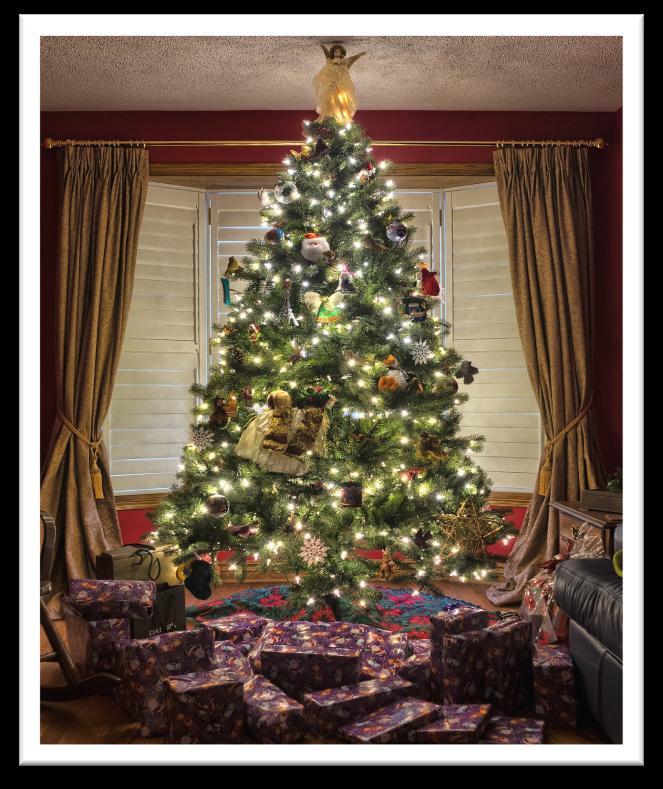 December HOLIDAY DECORATION SAFETY Holiday trees account for hundreds of fires annually.