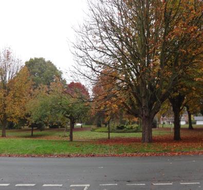 6. Green Space, centre of Kestrel Drive, Loggerheads Land owned by Newcastle Borough Council. Informal green space for tranquillity and amenity for surrounding houses.