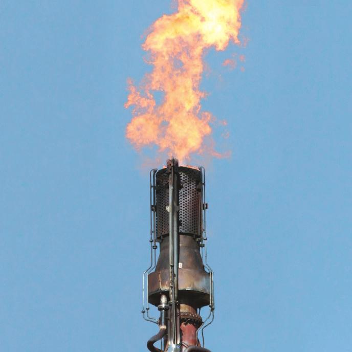 Products specifically designated for flame intensity monitoring applications include: Pilot Monitoring of Hydrogen, Ammonia or CO Flames Pilot Monitoring of Ground Flares and Landfill Flares Flame