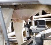 No compromise DeLaval VMS respects each cow s individuality.