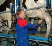 DeLaval voluntary milking system VMS is just one of these alternatives.