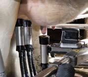 High milking capacity DeLaval VMS uses its agile hydraulic robotic arm together with two