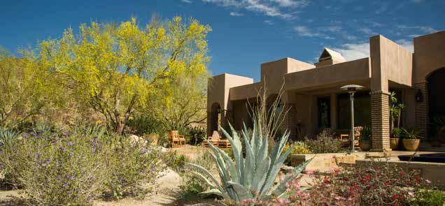 Desert-friendly landscaping uses less water and requires less maintenance than grass Residential water usage The average household of four uses 200 gallons indoors per day and nearly 80 percent of