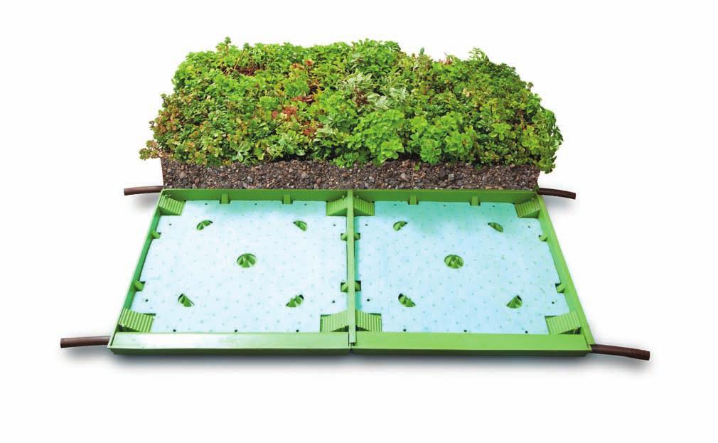 in built-in-place 12 13 AGR Pre-Grown Built-in-Place consolidates complex green roof layers into an interconnecting, modular drainage layer, making installation simple and efficient.