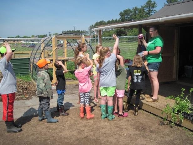 Project youth planted and showed them the straw bale
