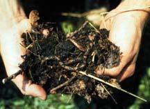 Attracts earthworms Stimulates beneficial soil microorganisms Increases soil water holding capacity
