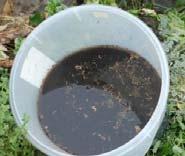 compost Use non-chlorinated water Compost Tea Non-aerated tea 1 part compost, 3-10 parts water Occasional stirring 1-3 weeks