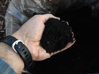 Biochar Wood Ash A charcoal byproduct created by burning woody products at slow and low heat in the absence of air Biochar can increase soil retention of nutrients Biochar can help to improve water