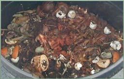 Carbon-rich organic wastes are known as browns Nitrogen-rich organic wastes are known as
