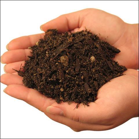 Compost is organic matter that has decayed to a point where it looks like rich brown crumbles. Most of what went into it is no longer distinguishable.