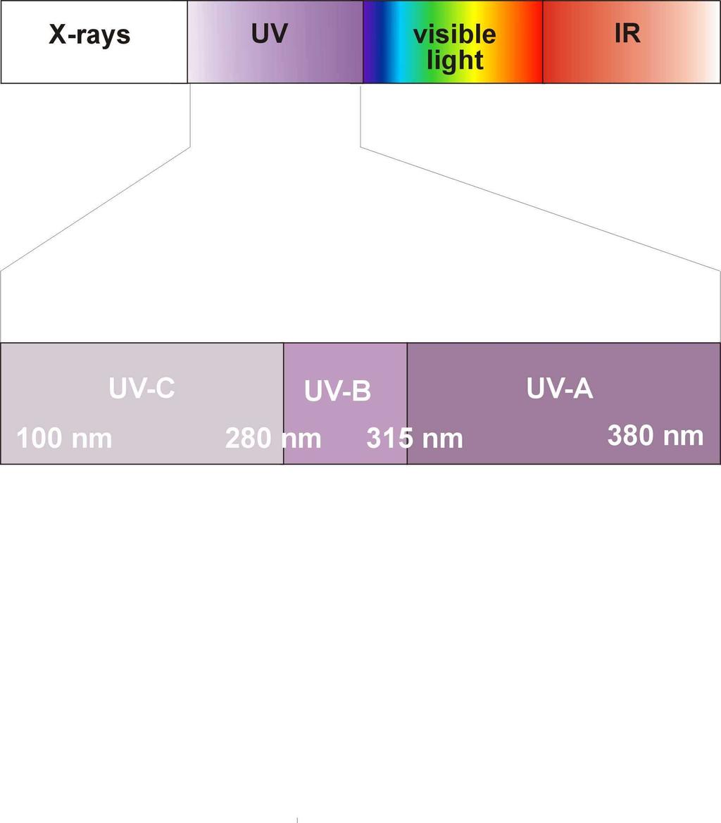 Spectral Energy Distribution UV-C Imperative for the polymerization of of printing inks and varnishes for a complete curing.