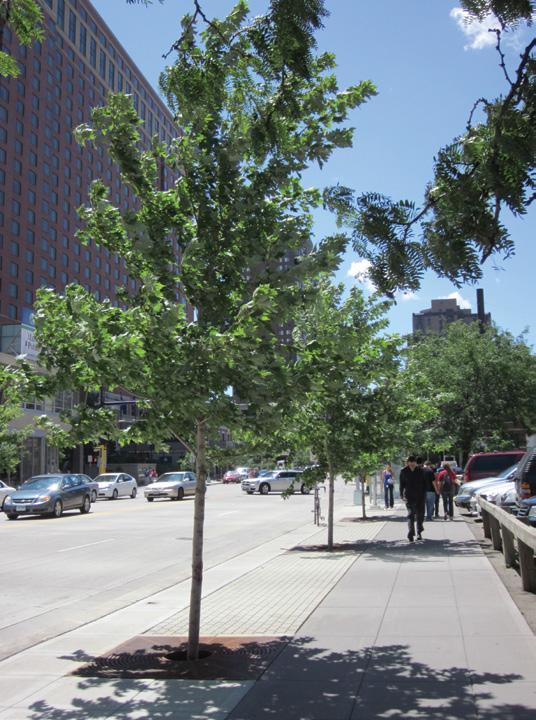 sidewalk in downtown Minneapolis, MN, streetscape