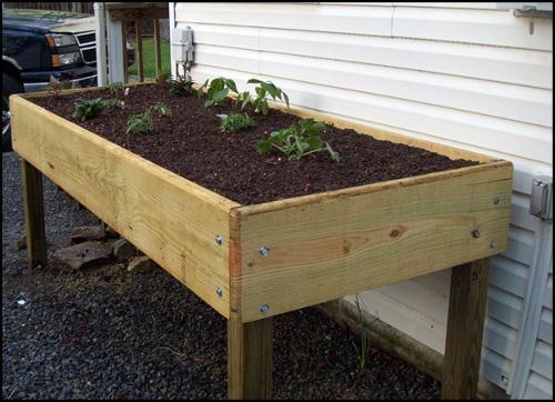 Waist High Raised Garden Bed Dimensions of standard box for 2ft x 6ft (decided because of the generally narrow yards of homeowners, but dimensions can be slightly altered if wanted/needed i.e. 3ftx6ft) Waist High Raised Garden Bed: Online instructions for reference: http://www.