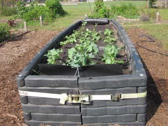 BEDS RAISED BED