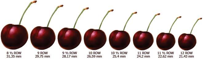 Fruit Quality: Cherry Size Affects Wholesale Value 2007 $2.78 2010 $2.56 2011 $2.85 Average $2.73 $2.36 $2.31 $2.61 $2.43 $2.17 $2.08 $2.34 $2.20 $2.01 $2.00 $2.
