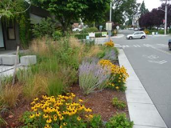 Decorative planters along sidewalks and internal