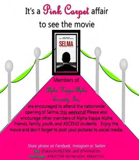 SISTERLY RELATIONS Movie Night SELMA Submitted by: Soror Barbara Williams Pink Carpet Affair!